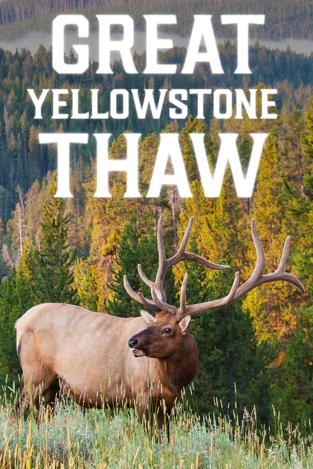 Great Yellowstone Thaw - Season 1