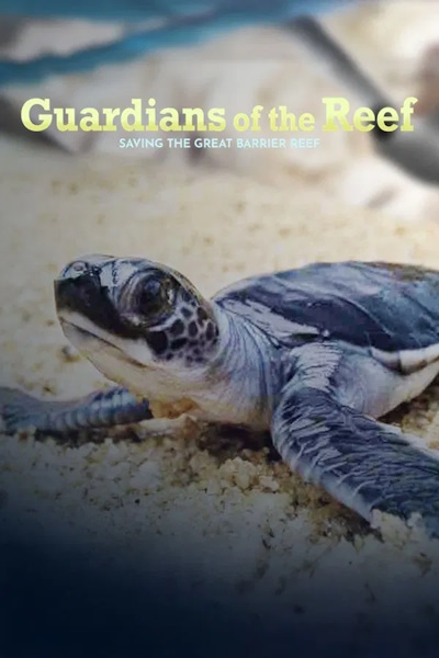 Guardians of the Reef - Season 1