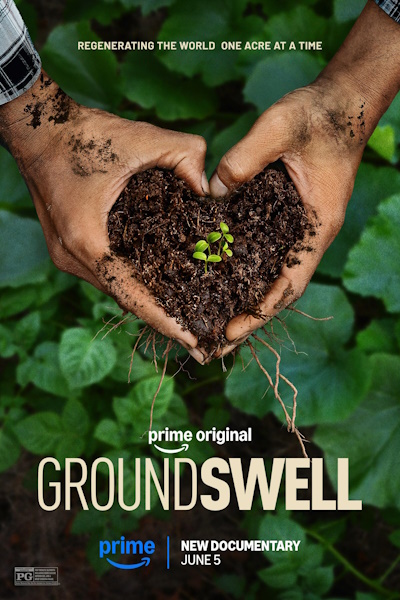Groundswell